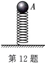 第12题