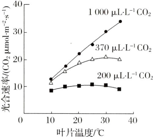 10203040叶片温度