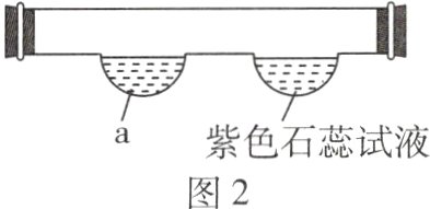 a紫色石蕊试液图2