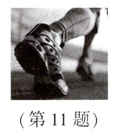 第11题