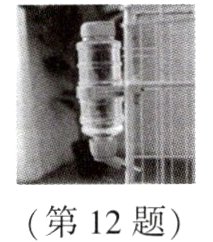 第12题
