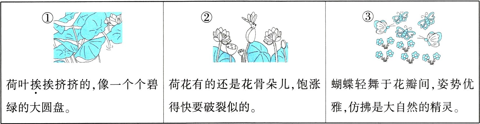 得快要破裂似的雅仿拂是大自然的精灵绿的大圆盘