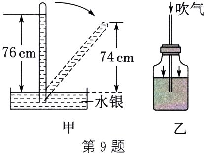 第9题