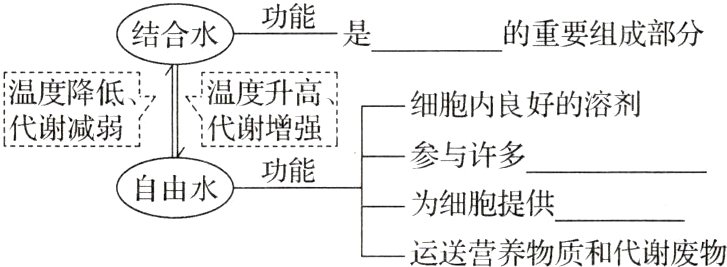 为细胞提供运送营养物质和代谢废物