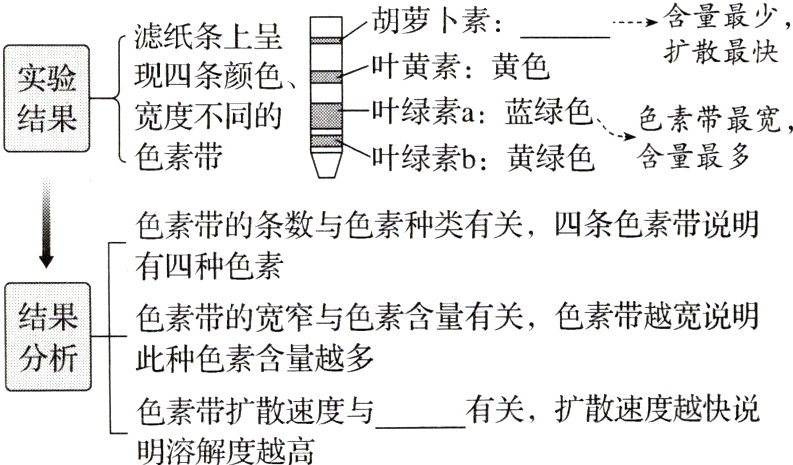 有关扩散速度越快说色素带扩散速度与明溶解度越高