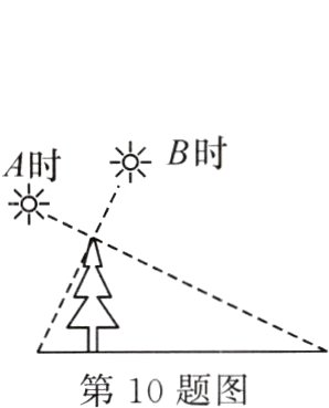 第10题图