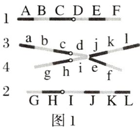 2GHIJKL图1
