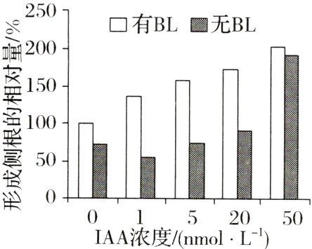 0152050IAA浓度nmolL