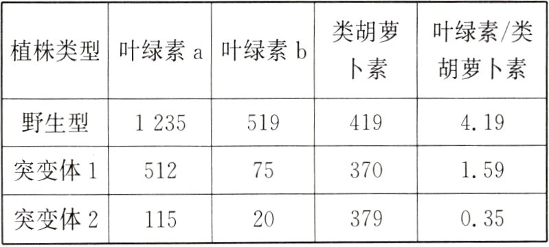 突变体220379035115