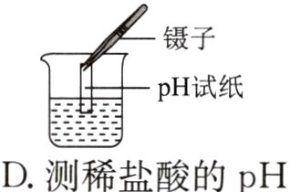 D测稀盐酸的pH