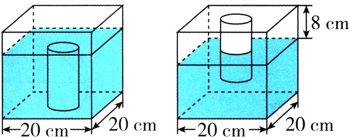 20cm20cm20cm20cm
