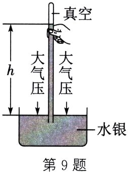 第9题