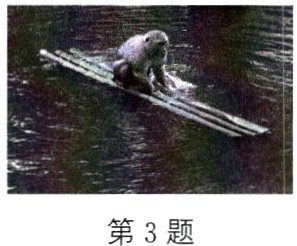 第3题