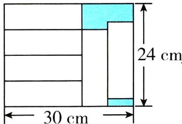 30cm