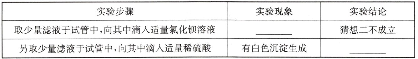 有白色沉淀生成另取少量滤液于试管中向其中滴入适量稀硫酸