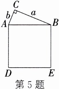 第5题