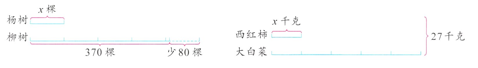 大白菜少80棵370棵