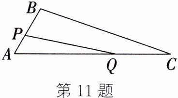 第11题
