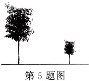 第5题图
