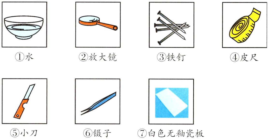 小刀镊子白色无釉瓷板