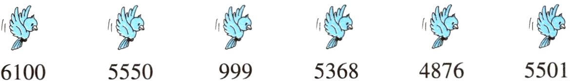 48765501536855509996100