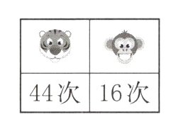 44次16次