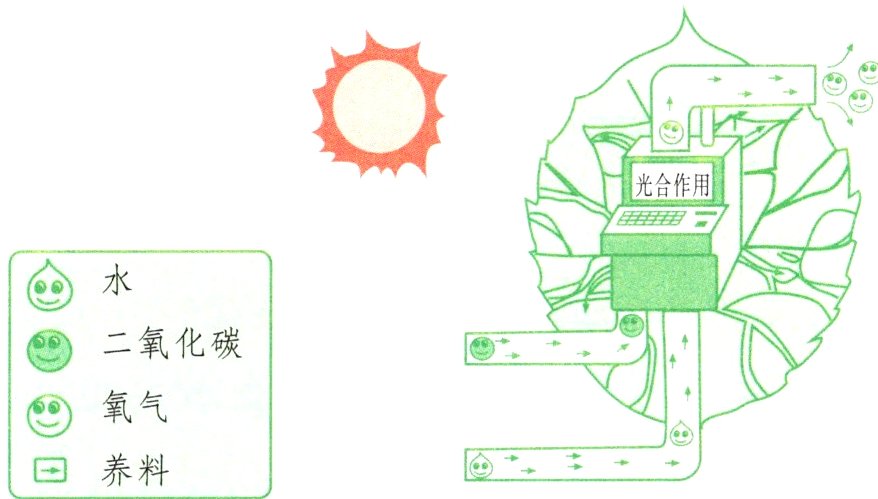 养料