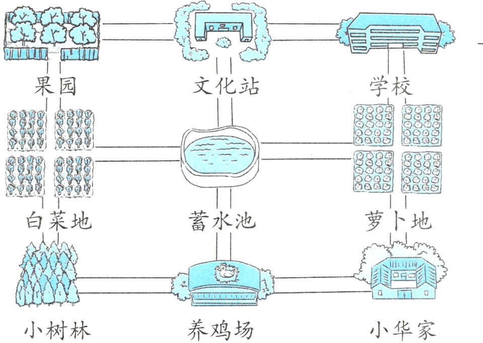 养鸡场小华家小树林