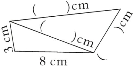 8cm