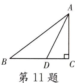 DC第11题