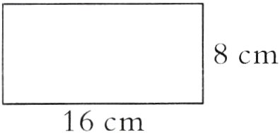 16cm