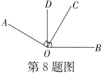 第8题图