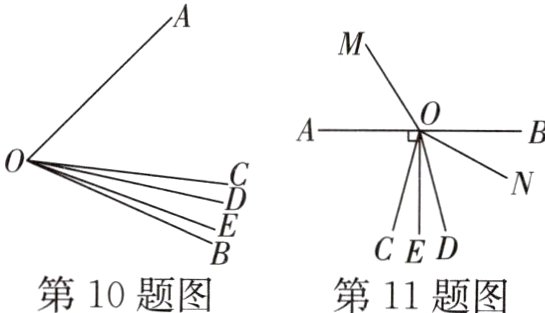 CED第10题图第11题图