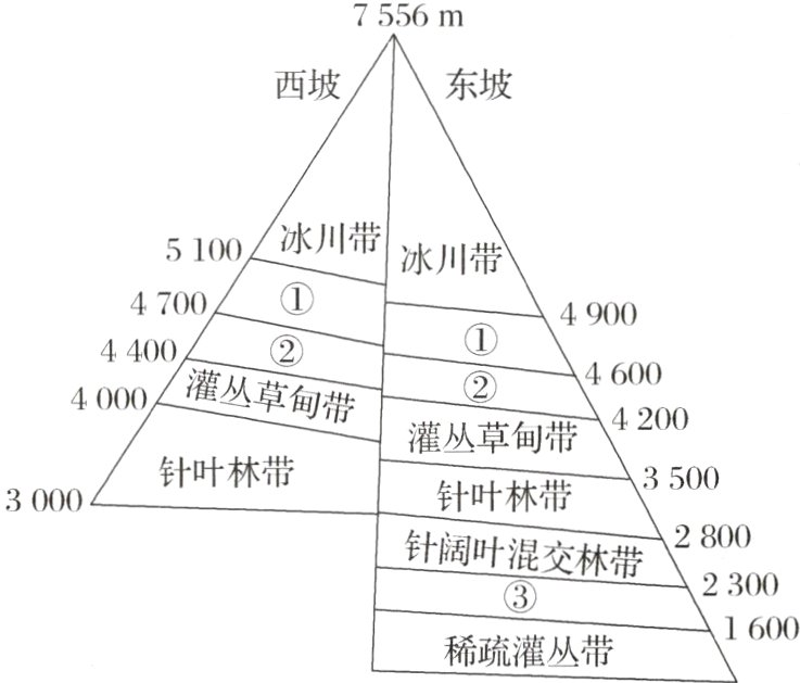 1600稀疏灌丛带