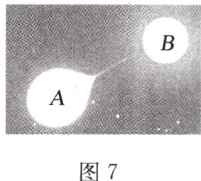 图7