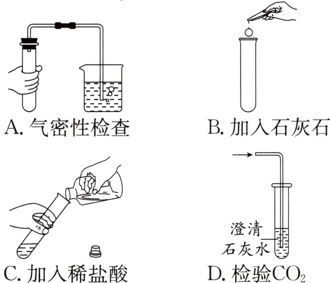 D检验CO2C加入稀盐酸