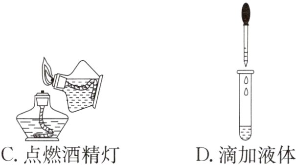 C点燃酒精灯D滴加液体