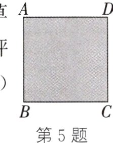 第5题