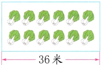 36米