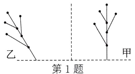 第1题