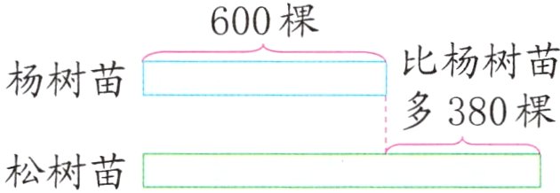 松树苗
