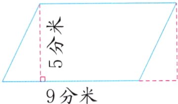 9分米