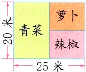 25米