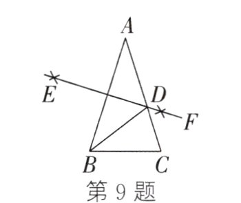 第9题
