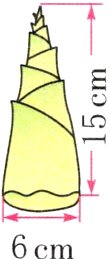 6cm