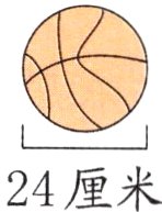 24厘米