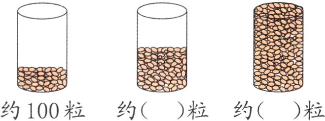 约100粒约粒约粒