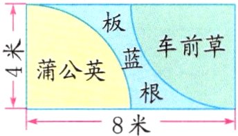 8米