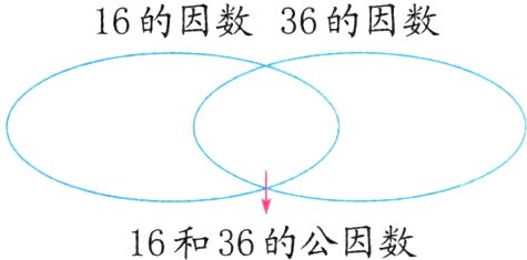 16和36的公因数