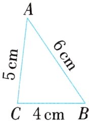 C4cmB